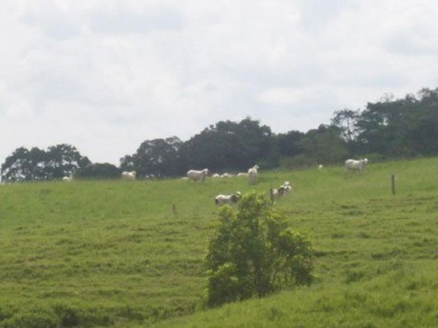 place photo 30