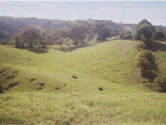 place photo 27
