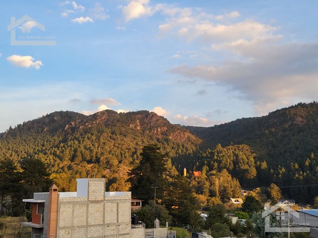 place photo 37