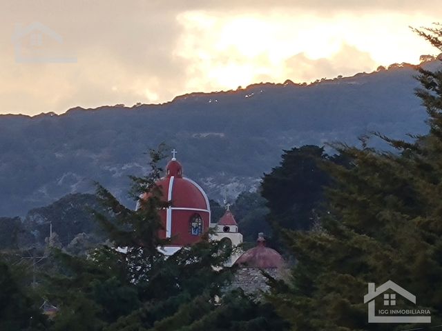 place photo 40