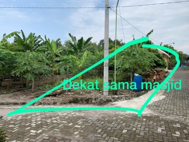 place photo 5