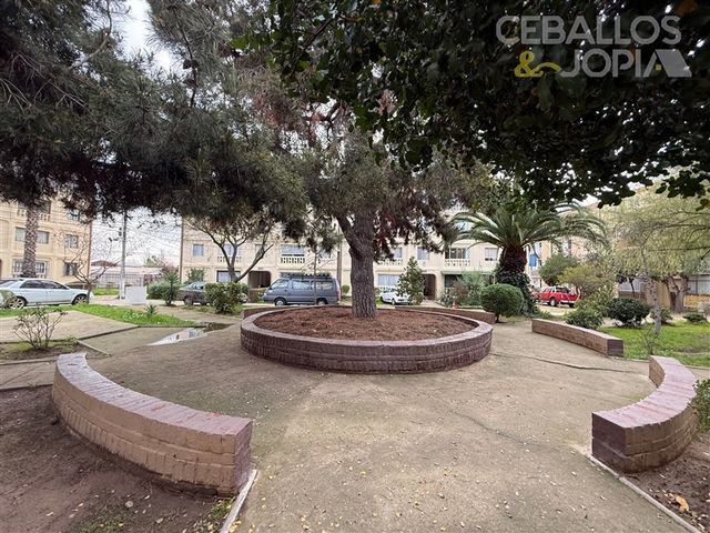 place photo 28