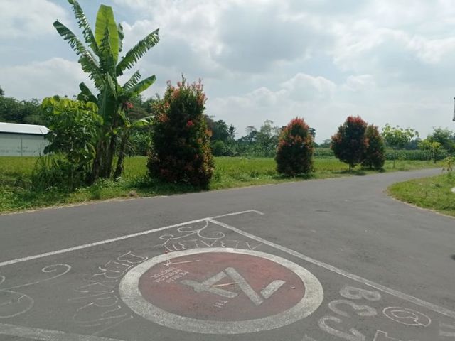 place photo 4
