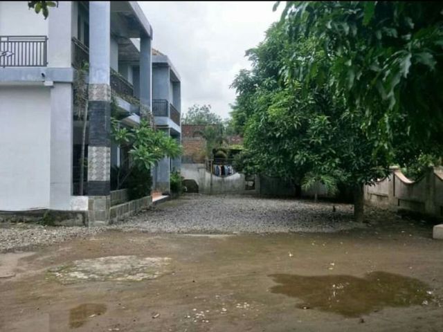 place photo 7