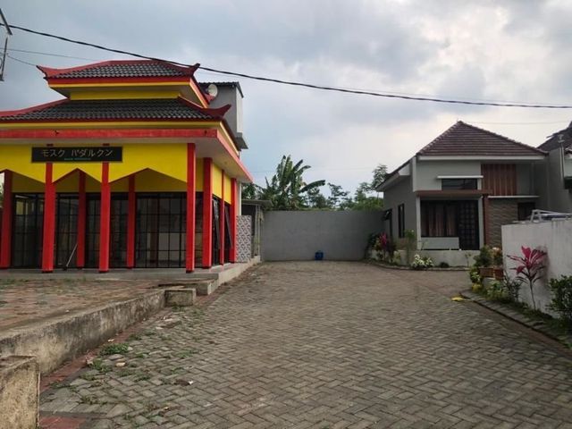 place photo 4