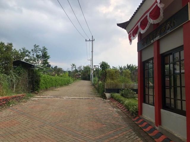 place photo 14