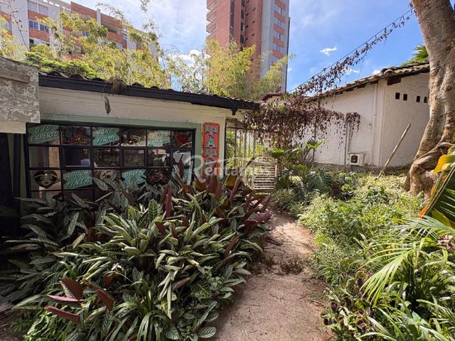 place photo 18