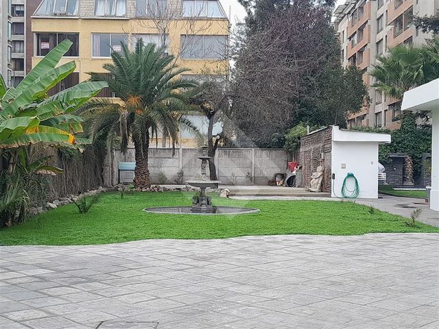 place photo 37