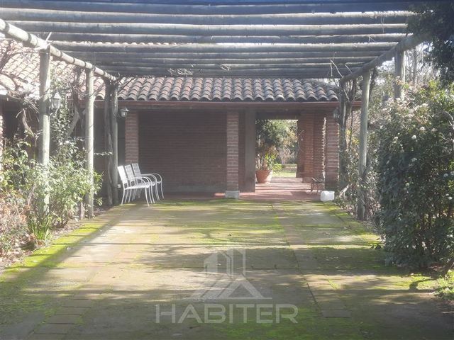 place photo 40