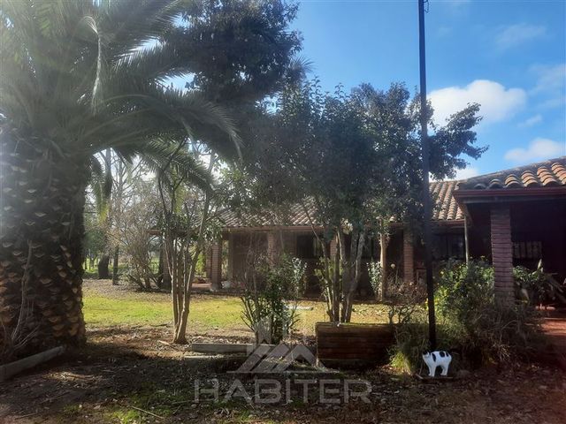 place photo 56