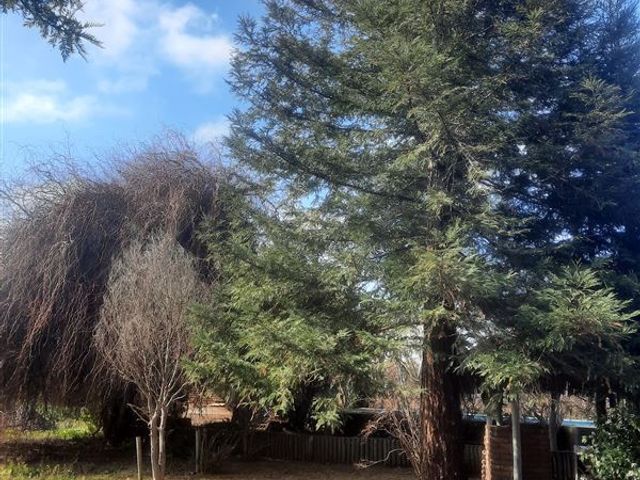 place photo 46