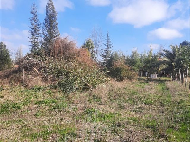 place photo 35