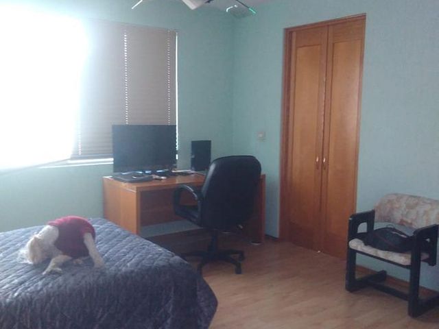place photo 56