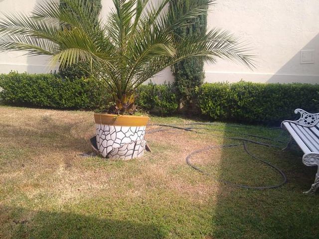 place photo 96