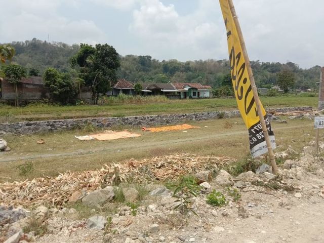 place photo 4