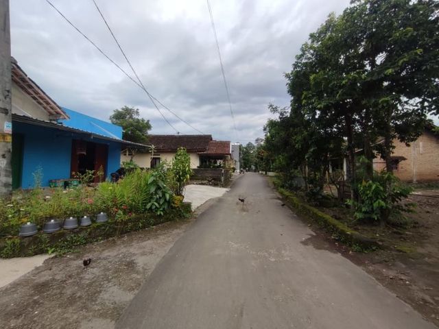 place photo 8