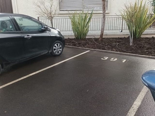 place photo 22