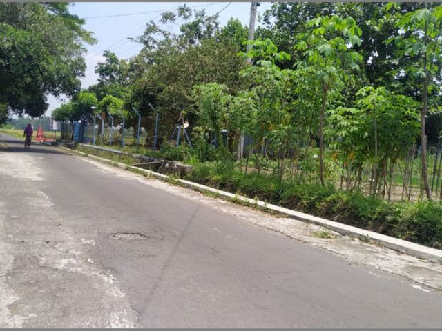 place photo 4