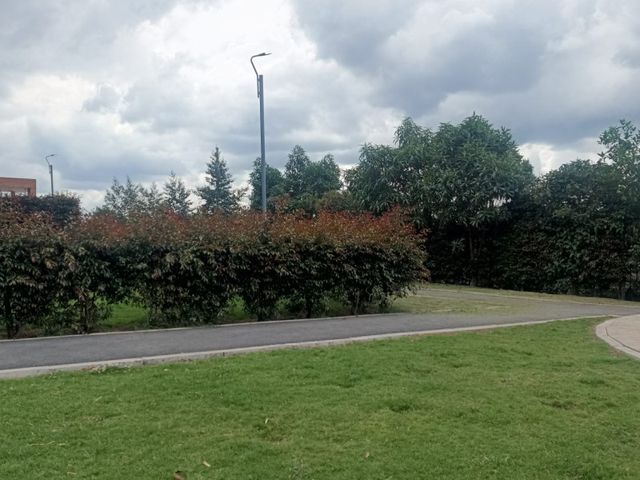 place photo 27
