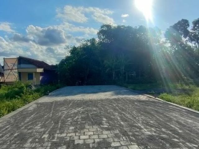 place photo 7