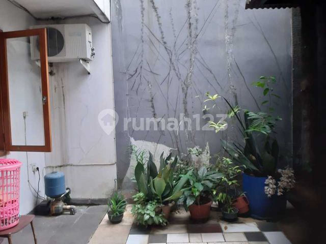 place photo 15