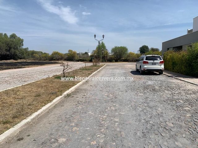 place photo 40