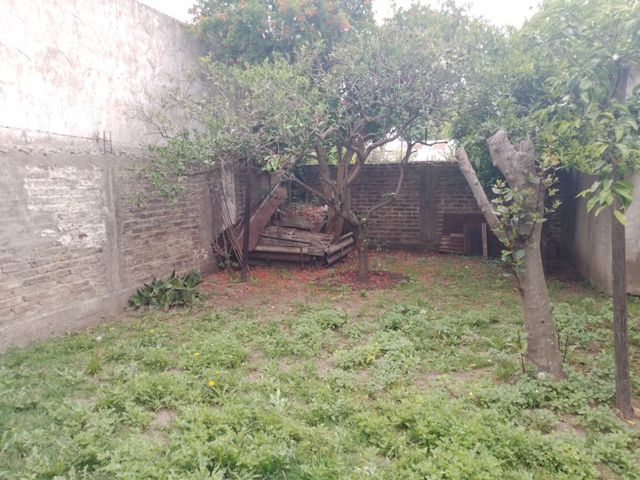 place photo 16