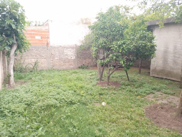 place photo 15
