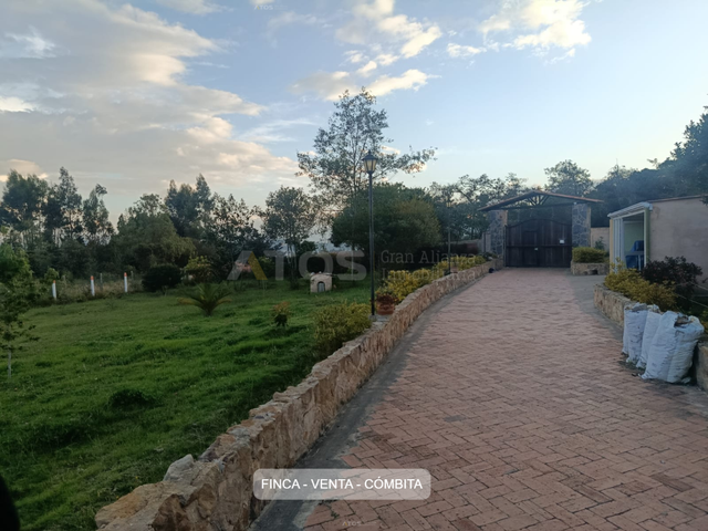 place photo 14