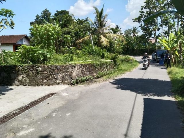 place photo 5