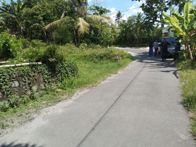 place photo 2