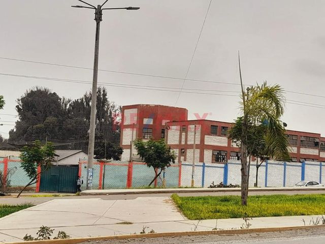 place photo 12