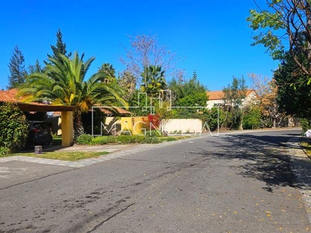 place photo 38