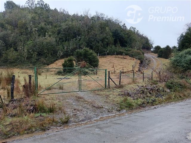 place photo 30