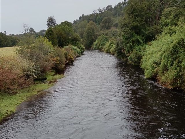 place photo 40