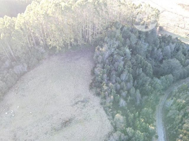 place photo 37