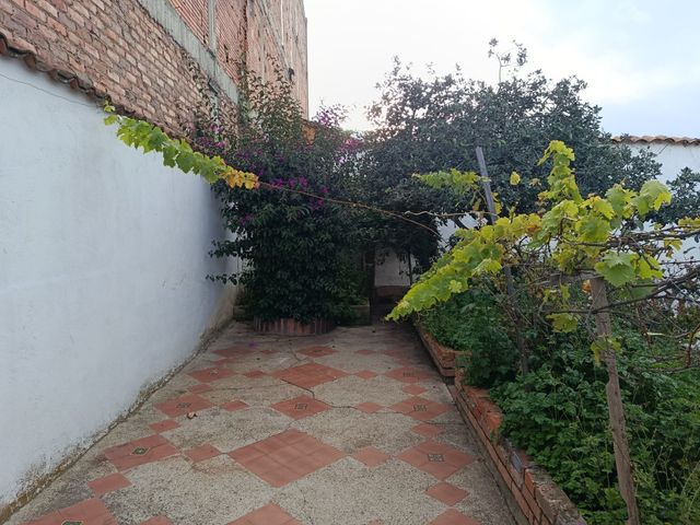 place photo 29