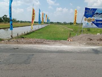 place photo 2