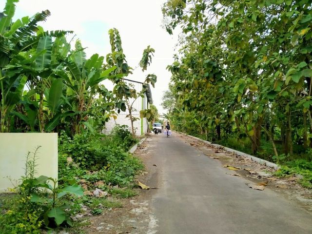 place photo 6