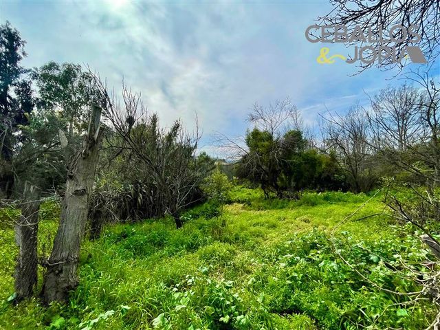 place photo 30