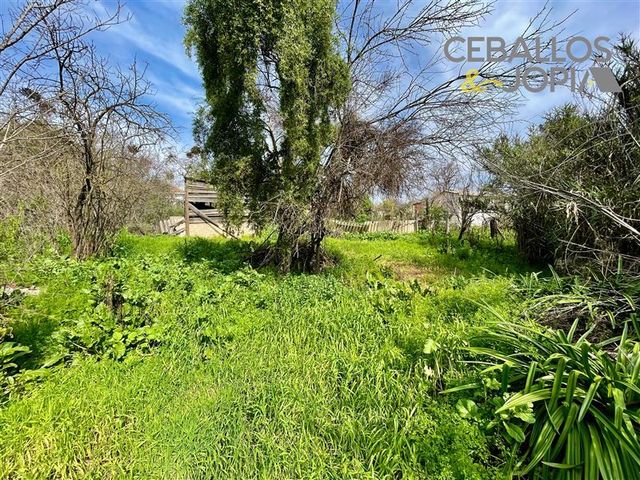 place photo 27