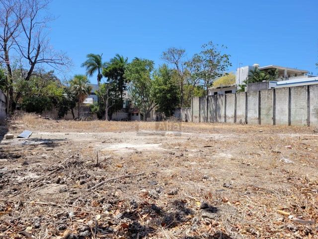 place photo 19