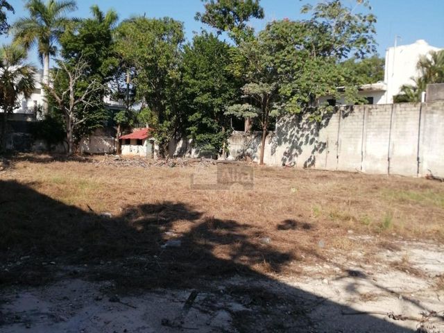 place photo 15