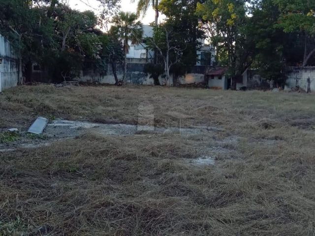 place photo 18