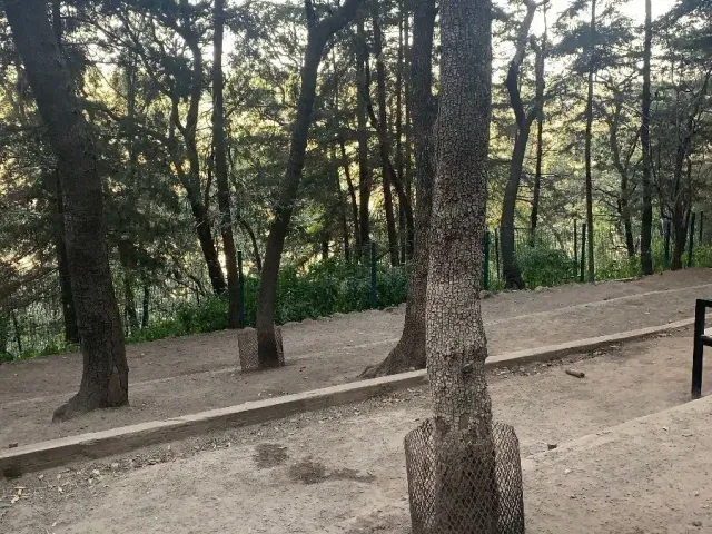 place photo 18