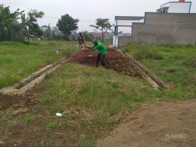 place photo 10