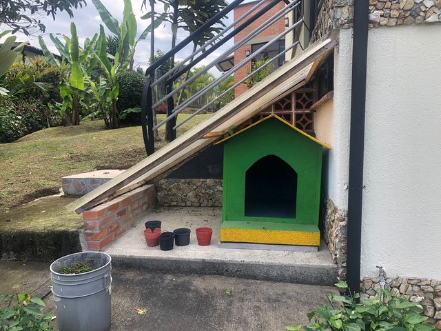place photo 43