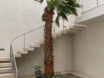 place photo 29