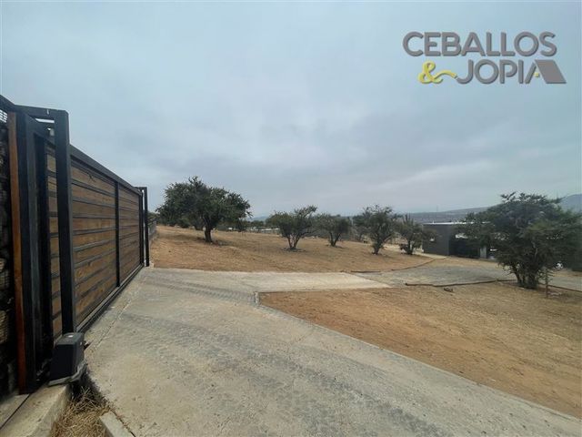 place photo 27