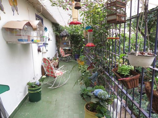 place photo 24